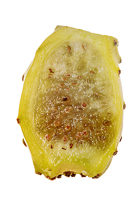 포토 JPG 해외이미지 식물 꽃 음식 백그라운드 오렌지 과일 자연 선인장 건강 사람없음 빨간색 초록색 세트 컬러풀 노란색 이탈리아 흰색 신선 그룹 자르기 지중해 먹기 흰배경 날것 무화과 내추럴 고립 숙성 이국적 채식주의자 비건 해외포토 유럽 바다 컬러 모션 생태계 채식 파일형식 이미지허브