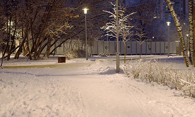 포토 JPG 해외이미지 나무 계절 공원 크리스마스 겨울 자연 날씨 휴가 요정 사람없음 야외 빛 도시풍경 걷기 어둠 황혼 놀람 새벽 추위 흰색 등불 램프 신선 도시 떨어짐 야간 저녁 12월 서리 장면 마법 빛망울 1월 폭설 눈내림 해외포토 자연요소 식물 공공시설 기념일 감정 컬러 컨셉 모션 조명 눈_날씨 표정 풍경 일몰 날짜 자연재해 생태계 파일형식 이미지허브