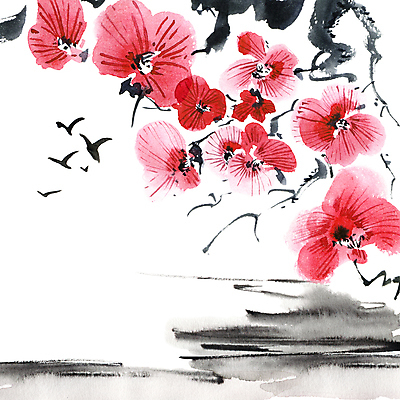 포토 JPG 해외이미지 꽃잎 자연 조류 붓터치 수채화 풍경 사람없음 번짐 해외포토 동물 꽃 생태계 파일형식 효과 이미지허브