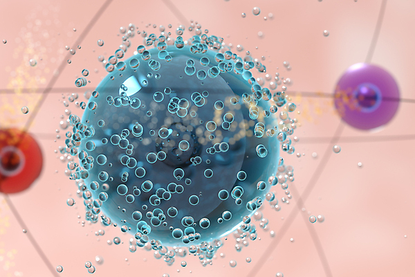 JPG 해외이미지 의학 사람없음 3D 해외포토 포토 디지털합성 파일형식 이미지허브