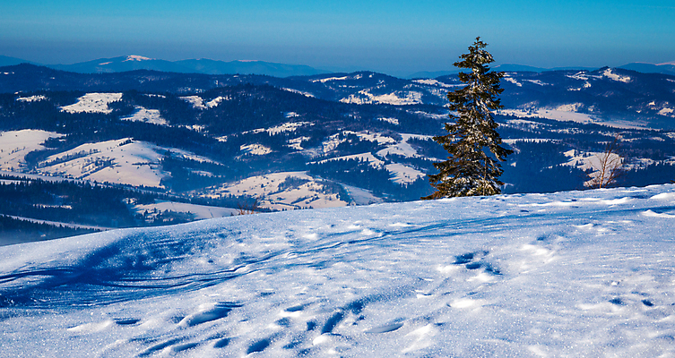 포토 JPG 해외이미지 나무 계절 길 여행 겨울 자연 하늘 날씨 스키 산 풍경 경사 사람없음 야외 파란색 빛 걷기 환경 맑음 냉동 얼음 산책 하이킹 추위 흰색 시골 숲 서리 산악지대 깊이 선로 자취 절정 폭설 눈내림 가문비나무 해외포토 자연요소 식물 컬러 모션 레저 겨울스포츠 휴식 눈_날씨 자연재해 생태계 파일형식 이미지허브