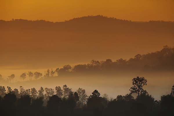포토 JPG 해외이미지 식물 구름 계절 공원 여행 백그라운드 일러스트 자연 하늘 성공 날씨 불꽃 산 풍경 사람없음 야외 초록색 여름 햇빛 태양 노란색 환경 일몰 봄 트래킹 하이킹 에너지 뜨거움 분위기 닫기 숲 장면 천국 내추럴 골 절정 해외포토 자연요소 공공시설 컬러 컨셉 모션 불 레저 노을 생태계 파일형식 이미지허브