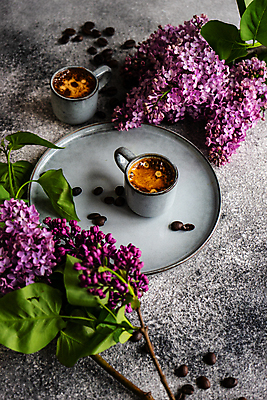 포토 JPG 해외이미지 커피 회색배경 쟁반 사람없음 머그컵 원두 라일락 해외포토 꽃 음료 백그라운드 컵 회색 파일형식 이미지허브