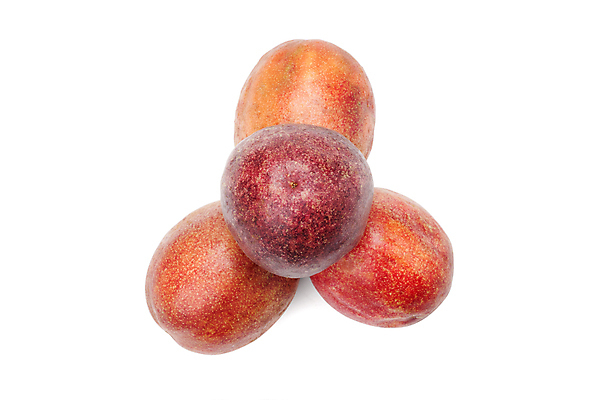 포토 JPG 해외이미지 열매 음식 다이어트 과일 재료 자연 디저트 건강 씨앗 사람없음 초록색 보라색 흰색 신선 달콤 맛 묘사 오브젝트 질감 열정 내추럴 고립 숙성 해외포토 식물 감정 컬러 컨셉 생태계 파일형식 이미지허브