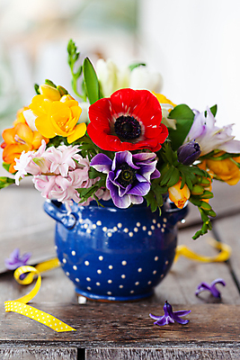 포토 JPG 해외이미지 꽃 꽃다발 꽃무늬 봄꽃 발렌타인데이 사람없음 목재 세로 컬러풀 꽃병 봄 기쁨 수확 벚꽃 생일 개화 아네모네 어머니의날 해외포토 나무 식물 계절 기념일 감정 컬러 무늬 농업 재료 데이이벤트 미국문화 파일형식 이미지허브