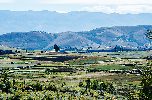 포토 JPG 해외이미지 나무 구름 계절 여행 백그라운드 자연 하늘 산 풍경 사람없음 야외 초록색 여름 파란색 태양 여행객 맑음 미국 놀람 바위 흰색 시골 숲 즐거움 장면 남쪽 내추럴 페루 해외포토 자연요소 식물 감정 컬러 북아메리카 날씨 표정 사람 돌_바위 남아메리카 방향 생태계 파일형식 이미지허브