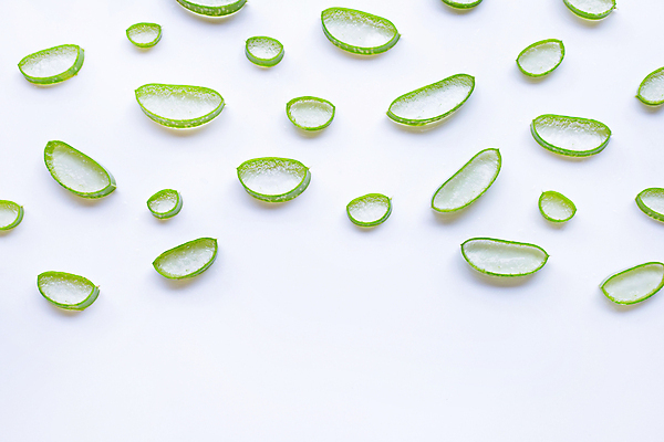 포토 JPG 해외이미지 스튜디오촬영 단면 실내 사람없음 하이앵글 흰배경 알로에 해외포토 식물 뷰포인트 백그라운드 내부 흰색 파일형식 이미지허브