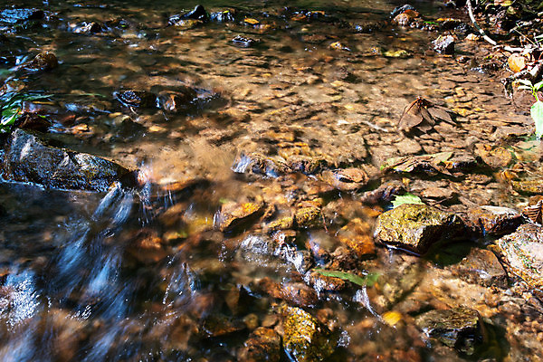 포토 JPG 해외이미지 식물 여행 백그라운드 잎 패턴 자연 하늘 추상 건강 풍경 사람없음 야외 목재 초록색 물 하이앵글 갈색 노란색 환경 활발 폭포 하이킹 흐름 바위 개울 떨어짐 숲 질감 장노출 내추럴 삼림지대 카피스페이스 해외포토 자연요소 나무 뷰포인트 컬러 컨셉 무늬 재료 레저 촬영기법 강 공백 돌_바위 생태계 파일형식 이미지허브