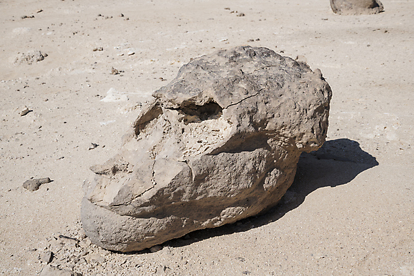 포토 JPG 해외이미지 동물 교육 아시아 여행 중동 배낭 휴가 건조 미술 사람없음 머리 환경 정원 놀람 사막 탐험 시골 체험 재산 산호 지역 아라비아 고생물 탐사 고고학 관심 지질학 흥미 전후 해외포토 감정 나라 컨셉 가방 문화예술 생물 표정 신체부위 금융 비교 자포동물 파일형식 이미지허브