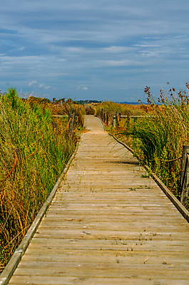 포토 JPG 해외이미지 모래 바다 여행 백그라운드 자연 하늘 휴가 풍경 사람없음 목재 여름 울타리 모래사장 햇빛 태양 걷기 맑음 산책로 수확 뜨거움 스페인 보호 널 오솔길 모래언덕 입장 통로 휴양지 보호구역 이국적 파라다이스 해외포토 자연요소 나무 계절 유럽 길 컨셉 농업 재료 모션 날씨 담장 장소 언덕 생태계 구역 파일형식 이미지허브