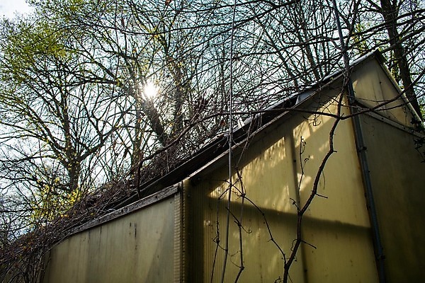 포토 JPG 해외이미지 전신 산업 비즈니스 창문 자연 유리 날씨 주택 실내 사람없음 가로 초록색 컬러풀 금속 손상 에너지 탐험 수확 황폐 신비 버리기 부식 폐허 원예 복고 구식 깨짐 밭일 옛날 온실 해외포토 컬러 컨셉 농업 모션 재질 취미 내부 건물 생태계 파일형식 이미지허브