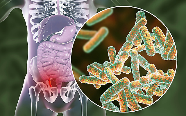 포토 JPG 해외이미지 남자 과학 컨셉 신체 일러스트 해부 골격 건강 사람 사람없음 내부 치료 약 3D 고통 수술 오르간 질병 생물학 미생물 외과 박테리아 삭제 돌봄 복근 염증 해외일러스트 교육 감정 의학 모션 근육 생물 병원 건반악기 디지털합성 파일형식 이미지허브