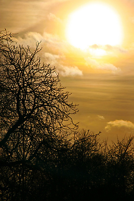 포토 JPG 해외이미지 나무 구름 공원 실루엣 오렌지 자연 하늘 아침 날씨 휴가 요정 풍경 사람없음 여름 빛 햇빛 태양 노란색 일출 환경 맑음 침묵 황혼 일몰 새벽 안개 가을 나뭇가지 시골 뜨거움 황금 고독 저녁 신비 장면 내추럴 파라다이스 해외포토 주간 자연요소 식물 계절 공공시설 감정 컬러 컨셉 과일 촬영기법 노을 소리 야간 생태계 파일형식 이미지허브