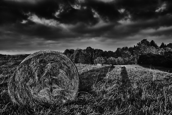 포토 JPG 해외이미지 나무 구름 계절 유럽 자연 하늘 아침 흑백 풍경 사람없음 야외 평화 침묵 가을 시골 숲 산등성이 체코 내추럴 해외포토 주간 자연요소 식물 나라 컨셉 산 촬영기법 소리 생태계 파일형식 이미지허브