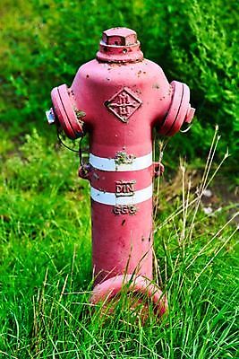 포토 JPG 해외이미지 공원 불 사람없음 야외 빨간색 초록색 물 흰색 구출 녹색배경 소화전 해외포토 자연요소 공공시설 컬러 백그라운드 도움 안전장비 파일형식 이미지허브