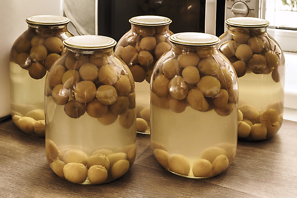 포토 JPG 해외이미지 식물 접시 음료 음식 다이어트 재료 유리 디저트 실내 건강 종류 요리 사람없음 가로 빨간색 여름 노란색 금속 주방 덮개 신선 달콤 보호 상품 균형 설탕 유기농 시럽 통조림 건강식 내추럴 살구 채식주의자 핸드메이드 해외포토 식기 웰빙 계절 컬러 컨셉 과일 재질 내부 뚜껑 맛 채식 파일형식 이미지허브