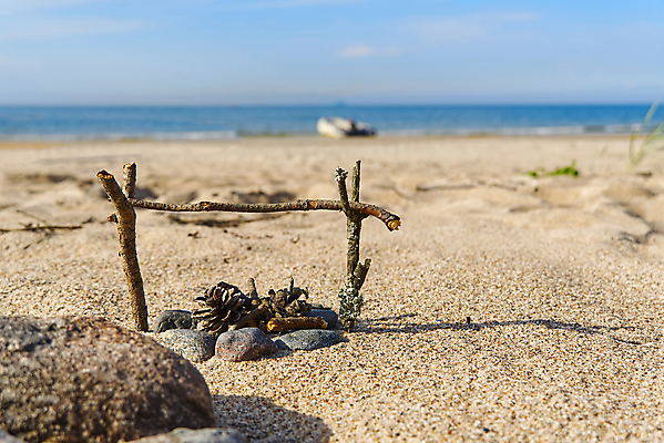 포토 JPG 해외이미지 나무 모래 스포츠 여행 자연 불꽃 건강 사람없음 야외 목재 여름 빛 모래사장 노란색 황혼 새벽 활발 에너지 뜨거움 닫기 위험 장작 모닥불 오브젝트 벽난로 통나무 열정 온도 잡동사니 내추럴 연소 광 삼림지대 용광로 현상 해외포토 자연요소 식물 계절 감정 바다 컬러 컨셉 재료 모션 불 일몰 숲 생태계 파일형식 이미지허브