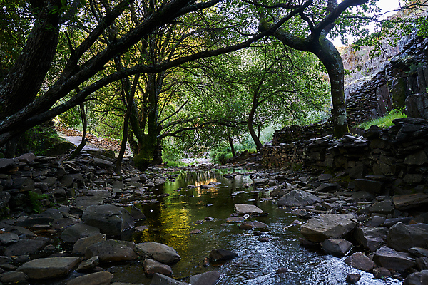 포토 JPG 해외이미지 나무 계절 공원 유럽 길 여행 백그라운드 자국 자연 하늘 산 풍경 사람없음 야외 목재 초록색 물 여름 강 마을 환경 계곡 폭포 하이킹 바위 개울 숲 오솔길 포르투갈 내추럴 전국 지질학 해외포토 자연요소 식물 공공시설 교육 나라 컬러 재료 레저 돌_바위 생태계 파일형식 이미지허브
