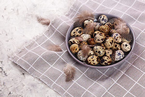 포토 JPG 해외이미지 전통 디자인 계절 행복 음식 백그라운드 컨셉 패턴 재료 자연 조류 휴가 건강 사람없음 장식 농장 갈색 우주 축제 치킨 봄 회색 수확 흰색 시골 축하 그룹 플랫 둥지 작음 먹기 심볼 깃털 유기농 질감 부활절계란 내추럴 메추리 콘크리트 해외포토 동물 웰빙 감정 컬러 무늬 농업 모션 부활절 계란 크기 생태계 닭고기요리 파일형식 이미지허브