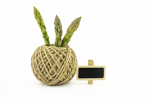 포토 JPG 해외이미지 식물 잡화 계절 창 음식 백그라운드 농업 다이어트 채소 재료 공 자연 간판 건강 요리 사람없음 초록색 새싹 식사 봄 수확 흰색 신선 삼 시장 선택 다발 보따리 유기농 아스파라거스 날것 노끈 내추럴 고립 생식 석판 숙성 채식주의자 해외포토 웰빙 산업 무기 줄 컬러 컨셉 생태계 채식 파일형식 이미지허브