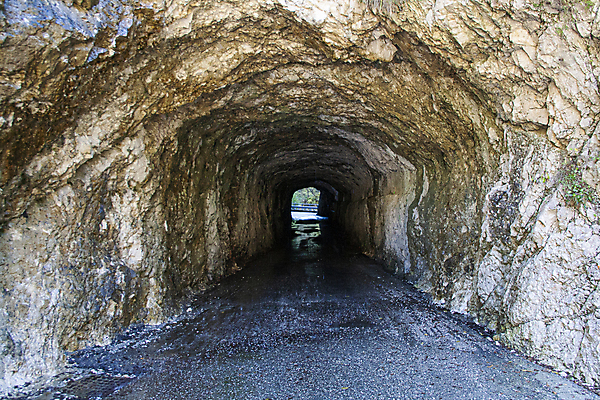 포토 JPG 해외이미지 유럽 어린이 여행 자연 휴가 휴식 산 국립공원 풍경 경사 사람없음 평화 계곡 냉동 침묵 이탈리아 트래킹 추위 흰색 터널 동굴 미술관 전쟁 알프스 전나무 내추럴 땅파기 절정 해외포토 나무 공원 나라 길 컬러 컨셉 레저 사람 소리 생태계 파일형식 이미지허브