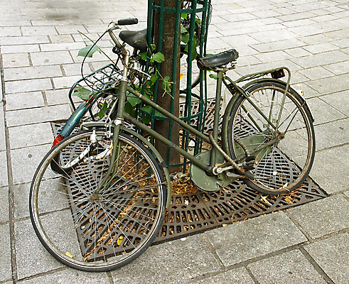 포토 JPG 해외이미지 나무 문화 여행 포즈 교통시설 벽돌 거리 사람없음 야외 자전거 침묵 프랑스 수확 도시 바퀴 승차 복고 순환 잠금 타이어 구식 옛날 주목 콘크리트 파리(프랑스) 해외포토 식물 유럽 교통 농업 모션 바이크 소리 시설 보안 파일형식 이미지허브