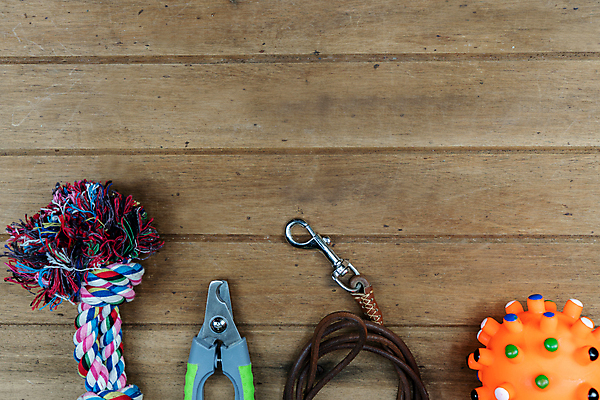 포토 JPG 해외이미지 동물 라이프스타일 디자인 밧줄 백그라운드 컨셉 장신구 탁자 사람없음 목재 장식 파란색 반려동물 세트 컬러풀 장난감 유행 상점 고양이 가축 장비 흰색 도구 시골 고리 사발 개 강아지 보호 상품 플라스틱 오브젝트 질감 고무 스타일 카피스페이스 해외포토 나무 줄 컬러 가구 재료 포유류 재질 생활 공백 사기그릇 파일형식 이미지허브