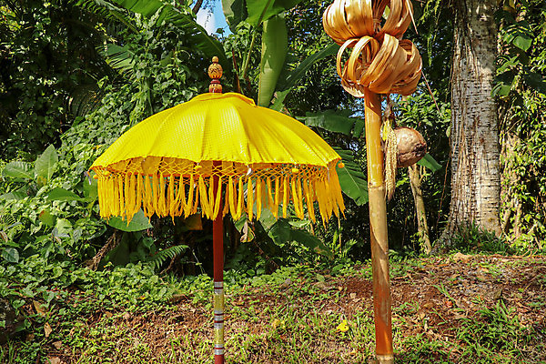 포토 JPG 해외이미지 전통 디자인 행복 아시아 종교 문화 여행 백그라운드 컨셉 일러스트 우산 벽지 휴가 미술 사람 동양인 사람없음 장식 노란색 축제 댄서 축하 춤 인사 사찰 의식 인도인 기회 발리 인도네시아 남쪽 숭배 케랄라주 힌두교 해외포토 외국인 직업 감정 나라 컬러 섬 종교건축 문화예술 인종 예절 인도_나라 방향 파일형식 이미지허브