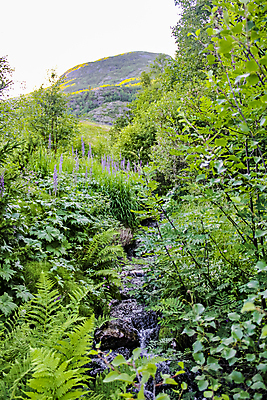 포토 JPG 해외이미지 호수 선 자연 노르웨이 풍경 사람없음 초록색 물 여름 파란색 강 폭포 흐름 바위 시골 급류 숲 작음 속도 암초 내추럴 스칸디나비아 터키석 해외포토 자연요소 계절 유럽 컬러 컨셉 돌_바위 크기 보석 생태계 파일형식 이미지허브