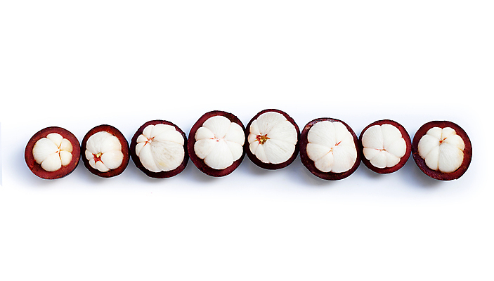 포토 JPG 해외이미지 단면 실내 사람없음 열대과일 흰배경 일렬 망고스틴 해외포토 백그라운드 과일 내부 흰색 파일형식 이미지허브