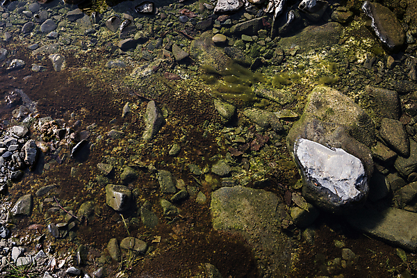 포토 JPG 해외이미지 호수 물결 파도 백그라운드 잎 패턴 자연 벽지 표면 추상 사람없음 야외 초록색 물 파란색 빛 강 컬러풀 태양 반사 평화 스파 봄 젖음 흐름 흰색 연못 신선 투명 액체 개울 매끈함 질감 내추럴 해외포토 자연요소 식물 계절 바다 컬러 컨셉 무늬 감각 생태계 파일형식 이미지허브