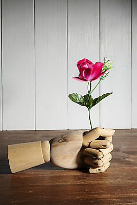 포토 JPG 해외이미지 식물 전통 손 공원 꽃 백그라운드 컨셉 꽃무늬 관계 자연 관리 사랑 사람없음 목재 장식 빨간색 초록색 여름 태양 장미 봄 벚꽃 잡기 닫기 마네킹 배열 묘사 쇼 고립 정중 해외포토 자연요소 나무 계절 공공시설 감정 컬러 무늬 재료 모션 신체부위 생태계 파일형식 이미지허브