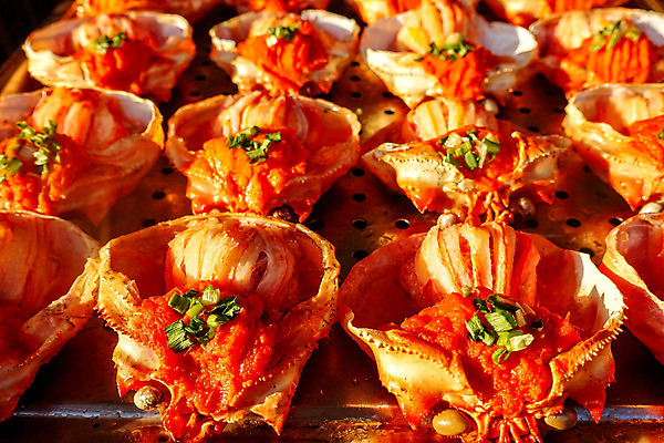 포토 JPG 해외이미지 전통 아시아 음식 여행 곤충 디저트 불가사리 새우 거리 요리 사람 동양인 사람없음 세일 여행객 상점 식사 중국 튀김 도시 뱀 막대기 꼬치 시장 맛 그릴 야간 전갈 해산물 베이징 동쪽 이국적 해외포토 자연요소 동물 나라 컨셉 절지류 파충류 주방용품 극피동물 갑각류 인종 방향 파일형식 이미지허브