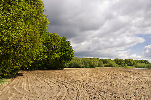 포토 JPG 해외이미지 나무 구름 밭 농업 자연 날씨 풍경 사람없음 어둠 시골 트랙 땅바닥 해외포토 자연요소 식물 산업 바닥 생태계 파일형식 이미지허브