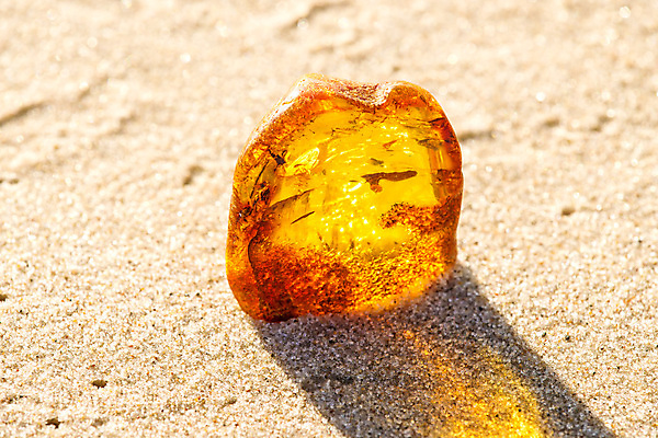 포토 JPG 해외이미지 자연 사람없음 빛 주황색 투명 보석 화석 앰버 해외포토 컬러 광석 생태계 파일형식 이미지허브