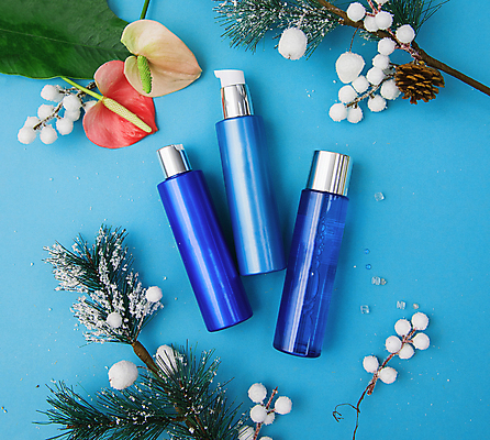 포토 JPG 해외이미지 겨울 사람없음 장식 하이앵글 뷰티 화장품 나뭇가지 눈 피부관리 파란배경 솔방울 솔잎 안스리움 해외포토 자연요소 나무 계절 꽃 뷰포인트 백그라운드 잎 날씨 파란색 파일형식 이미지허브