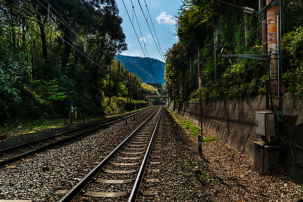 포토 JPG 해외이미지 나무 길 선 여행 십자가 교통시설 모션 자연 산 풍경 사람없음 야외 초록색 여름 햇빛 일본 맑음 기차 시골 침대 네트워크 고독 숲 대나무 신호 트랙 시스템 일반 루트 방법 선로 옛날 직진 철강 해외포토 식물 계절 감정 아시아 육상교통 컬러 가구 교통 날씨 대중교통 태양 시설 생태계 파일형식 이미지허브