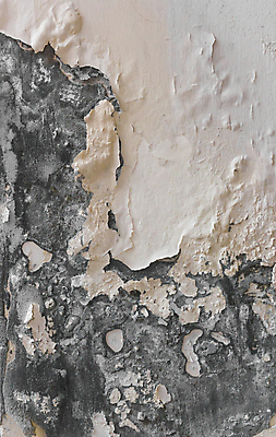 포토 JPG 해외이미지 디자인 벽 백그라운드 컨셉 패턴 건축양식 표면 주택 사람없음 건물 세로 물 장미 손상 회색 촉촉함 수확 흰색 얼룩 거친 질감 시멘트 그런지 석고 썩음 옛날 콘크리트 해로움 해외포토 자연요소 건축물 건축 꽃 컬러 무늬 농업 젖음 파일형식 이미지허브