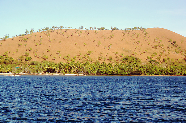 포토 JPG 해외이미지 나무 아시아 바다 섬 여행 자연 산 사람없음 야외 땅 타운 해외포토 식물 나라 도시 생태계 파일형식 이미지허브