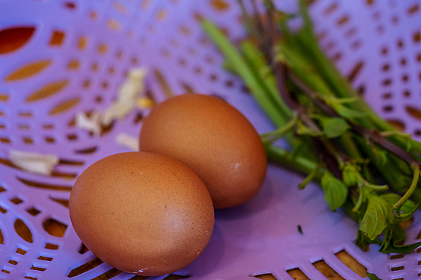포토 JPG 해외이미지 스튜디오촬영 그림자 사람없음 한개 성장 상품 자르기 오브젝트 흰배경 부활절계란 슛 먼지 건강식 개발 넘어짐 처음 해외포토 1 음식 백그라운드 모션 부활절 실내 계란 흰색 파일형식 이미지허브