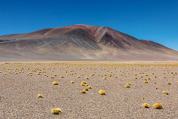 포토 JPG 해외이미지 호수 모래 여행 백그라운드 자연 하늘 휴가 산 건조 파노라마 풍경 사람없음 야외 파란색 계곡 미국 사막 달 남아메리카 화산 소금 칠레 남쪽 석호 오아시스 전국 해외포토 자연요소 컬러 북아메리카 촬영기법 아메리카 방향 생태계 파일형식 이미지허브