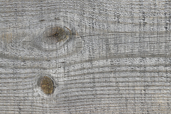 포토 JPG 해외이미지 디자인 외관 벽 백그라운드 패턴 자연 벽지 탁자 표면 추상 바닥 프레임 건조 사람없음 목재 장식 갈색 우주 어둠 줄무늬 수확 골동품 흰색 판넬 얼룩 거친 널 질감 복고 목공예 내추럴 그런지 수목 옛날 해외포토 나무 컬러 가구 무늬 농업 재료 공예 생태계 파일형식 이미지허브