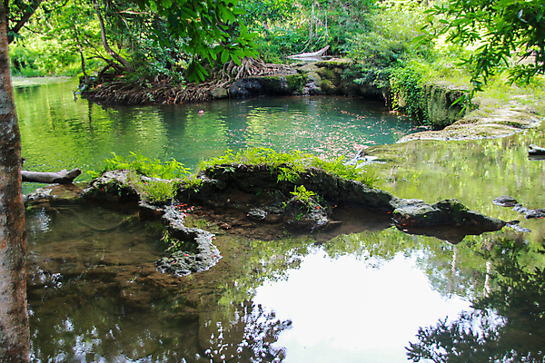 포토 JPG 해외이미지 나무 계절 공원 여행 잎 태국 자연 산 풍경 사람없음 야외 초록색 물 빛 강 여행객 평화 환경 봄 폭포 젖음 흐름 가을 신선 개울 숲 내추럴 전국 해외포토 자연요소 식물 공공시설 아시아 컬러 컨셉 사람 생태계 파일형식 이미지허브