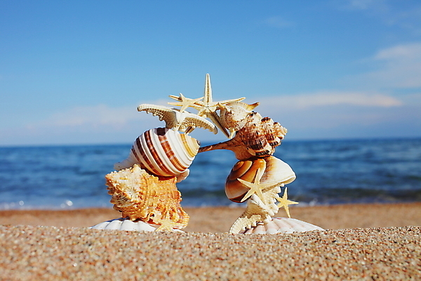 포토 JPG 해외이미지 딸 실루엣 별 바다 의자 데이트 장난 회사 손가락 청소년 휴식 함께함 따뜻함 웃음 사람없음 10대 가로 빛 달리기 햇빛 반사 침묵 우정 꿈 젖음 탐험 유머 결합 생물학 방문 사춘기 양발 파라다이스 스플래쉬 키르기스스탄 해외포토 자연요소 손 교육 감정 가구 컨셉 비즈니스 가족 모션 촬영기법 표정 사람 친구 태양 소리 중앙아시아 파일형식 이미지허브