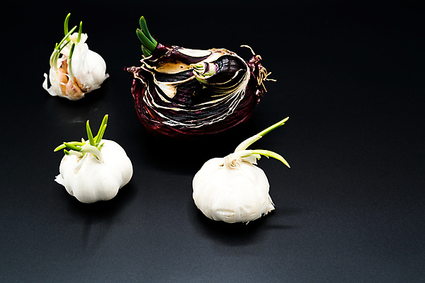 포토 JPG 해외이미지 식물 계절 줄기 백그라운드 컨셉 잎 밭 농업 채소 자연 양파 건강 마늘 씨앗 사람없음 초록색 농장 새싹 우주 환경 정원 흙 봄 성장 흰색 아기 신선 떨어짐 땅 유기농 뿌리 먼지 내추럴 땅바닥 모종 묘목 밭일 생태학 샬롯 세련 해외포토 나무 웰빙 교육 산업 컬러 바닥 사람 생태계 파일형식 이미지허브