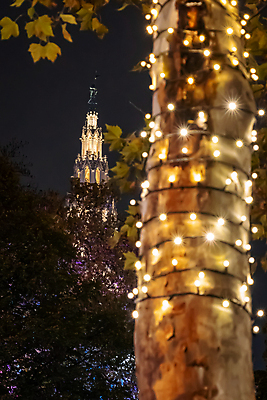 포토 JPG 해외이미지 전통 계절 유럽 여행 크리스마스 겨울 건축양식 휴가 사람없음 야외 장식 빛 상점 축하 도시 비엔나 오스트리아 시장 야간 저녁 빛망울 블러 인기 해외포토 자연요소 기념일 건축 나라 컨셉 파일형식 이미지허브