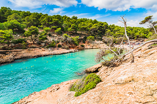 포토 JPG 해외이미지 나무 유럽 바다 섬 여행 자연 하늘 휴가 휴식 풍경 사람없음 야외 물 여름 파란색 관광지 태양 맑음 수영 소나무 만 스페인 지중해 남쪽 스페인어 해외포토 자연요소 식물 계절 나라 컬러 컨셉 날씨 수상스포츠 방향 생태계 파일형식 이미지허브
