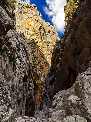 포토 JPG 해외이미지 주간 나무 식물 공원 여행 자연 안테나 이끼 풍경 사람없음 야외 목재 물 강 여행객 골짜기 맑음 이탈리아 폭포 산책로 하이킹 조약돌 개울 황무지 숲 태평양 암초 양치류 전국 해외포토 자연요소 공공시설 유럽 길 바다 재료 통신 레저 날씨 사람 돌_바위 생태계 파일형식 이미지허브