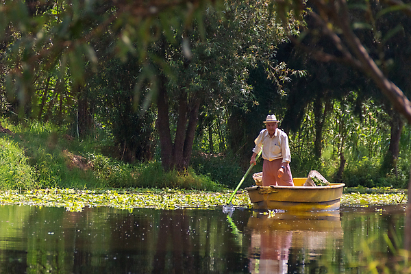 포토 JPG 해외이미지 전통 라이프스타일 꽃 아시아 문화 섬 여행 채소 휴식 멕시코 항해 인종 사람없음 야외 장식 강 여행객 정원 활발 침대 도시 보트 원주민 함선 베트남 운하 장면 노젓기 히스패닉 추적 이국적 정중 해외포토 식물 나라 가구 컨셉 북아메리카 배_교통 모션 사람 생활 동남아시아 아프리카인 파일형식 이미지허브