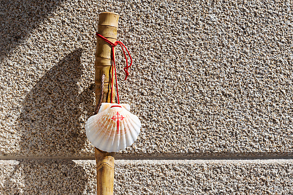 포토 JPG 해외이미지 아이콘 전통 기독교 벽 여행 컨셉 십자가 조개 그림자 사람없음 야외 햇빛 산책 트래킹 천주교 껍질 스페인 황금 성자 방향 심볼 오브젝트 사인 기념품 가리비 루트 방법 선로 순례 순례자 화강암 카피스페이스 해외포토 유럽 종교 레저 어패류 휴식 태양 공백 암석 파일형식 이미지허브